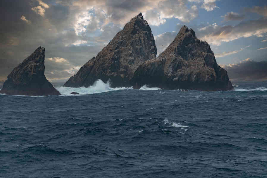 Islas Georgias del Sur 097 - Shag Rocks.jpg
